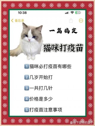猫咪多久可以打疫苗，猫咪多久打疫苗最合适？