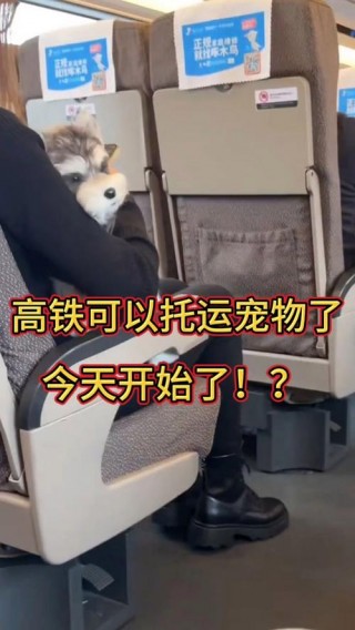 火车托运狗狗安全吗？火车托运狗狗需要什么手续（最新）