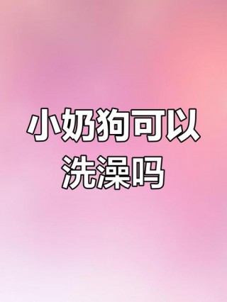 一个月大的狗狗可以洗澡吗，（一个月大的狗狗能洗澡吗?）