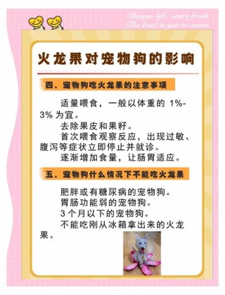 狗狗能吃红心火龙果吗，（狗能吃红星火龙果吗）