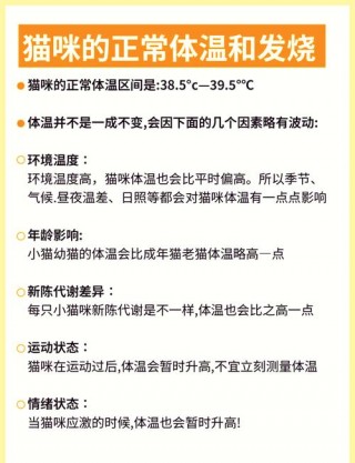 如何知道猫咪发烧？怎么知道猫咪发烧的症状（最新）