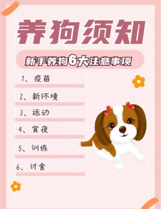 养狗狗注意事项？养狗狗注意事项有哪些（最新）