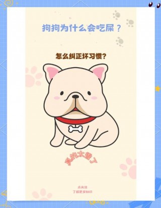 狗狗吃自己便便怎么办，狗狗吃自己大便要紧吗？