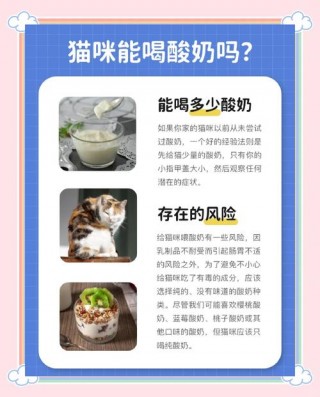 猫咪能吃酸奶么？猫咪可以吃酸奶吗?（最新）