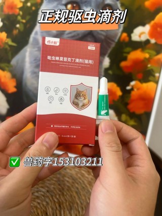 猫咪驱虫多少钱，（给小猫驱虫用什么药）