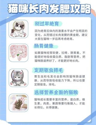 如何让猫咪发腮？如何让猫发腮发的好（最新）