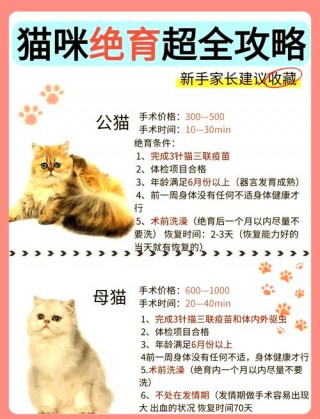 猫咪什么时候绝育，猫什么时候做绝育是最佳时期？