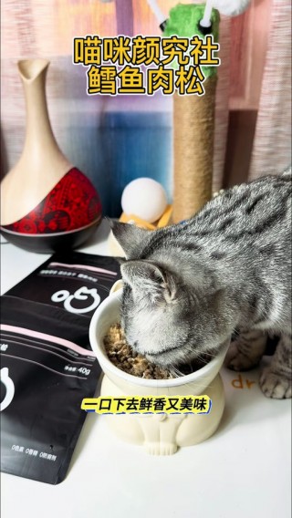 猫咪能吃海带吗？猫咪能吃海带吗会中毒吗（最新）