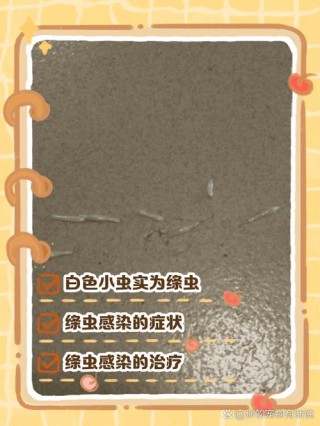 狗狗可以吃阿胶糕吗？狗狗能不能吃阿胶糕（最新）