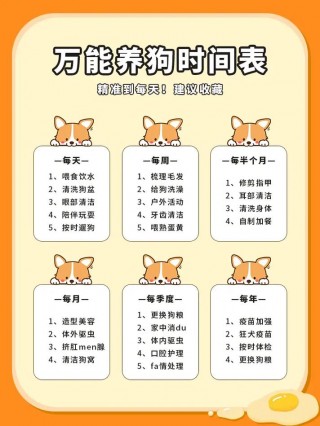 狗狗几个月可以出门？狗狗几个月出门比较好（最新）