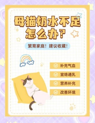 猫咪没有奶水怎么办？猫猫没奶怎么办（最新）