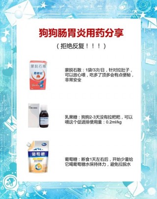 狗狗拉血用什么药比较好？狗狗拉血用什么止血药（最新）