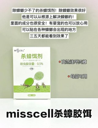 猫咪吃了蟑螂药，猫咪吃了蟑螂药怎么办？