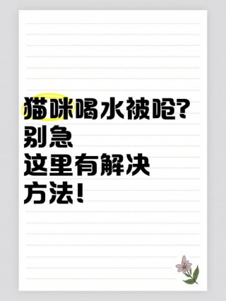 猫咪喝水总是呛到，猫咪喝水总是呛到嗓子？