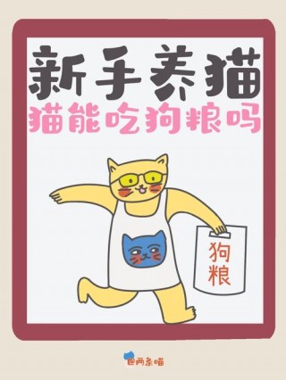 猫咪可以吃狗粮吗，（狗可吃猫粮吗）