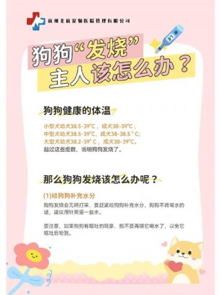 怎么知道狗狗发烧？怎么知道狗狗发烧怎么测狗狗发烧（最新）