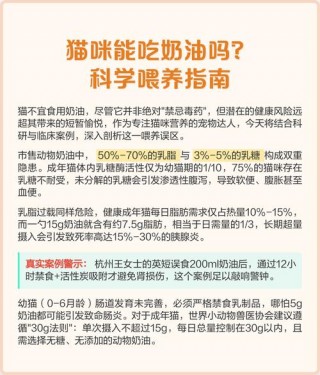 猫咪能吃奶油么，（猫咪能吃奶油么为什么）