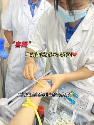 狗狗打完血清注意事项？狗狗打完血清之后一直叫（最新）