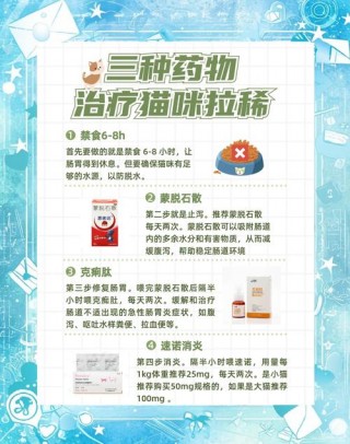 小猫咪拉稀吃什么药？小猫拉稀严重吃什么药（最新）
