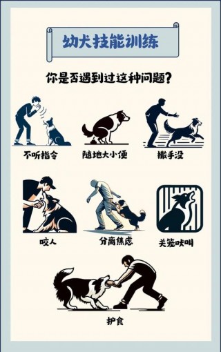 如何训练狗狗叼东西，如何训练狗狗叼东西的方法？