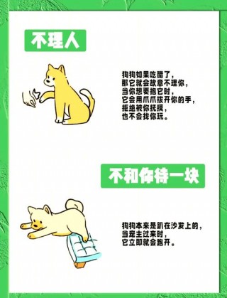 狗狗吃醋的表现？狗狗吃醋起来有多委屈（最新）