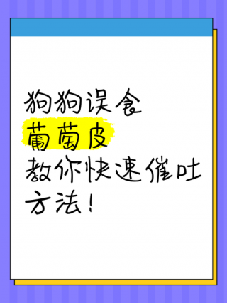 狗狗能吃葡萄皮吗，（狗狗可以吃葡萄皮不）