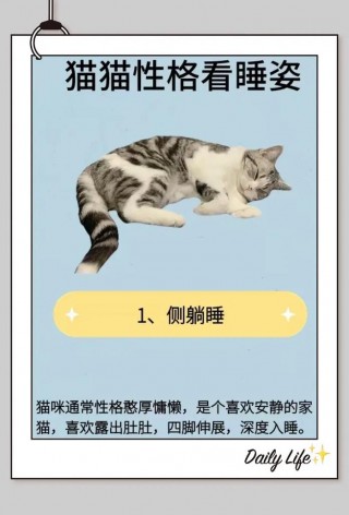 猫咪睡觉摇尾巴？猫咪睡觉摇尾巴代表什么意思（最新）