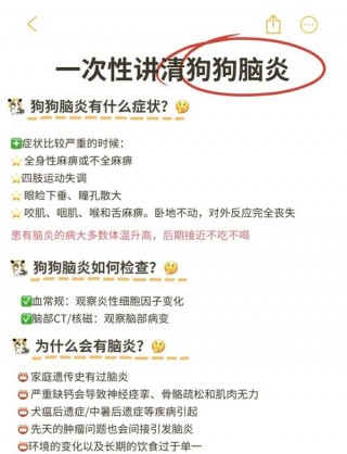 狗狗脑炎传染吗？狗得脑炎能治好吗（最新）