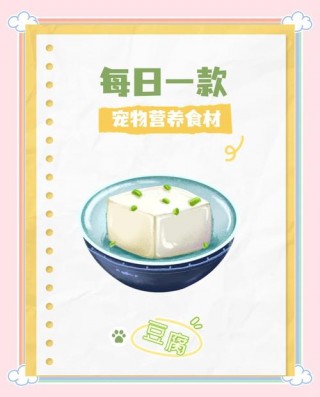 狗狗可以吃豆腐吗？小狗可以吃豆腐吗有营养吗（最新）