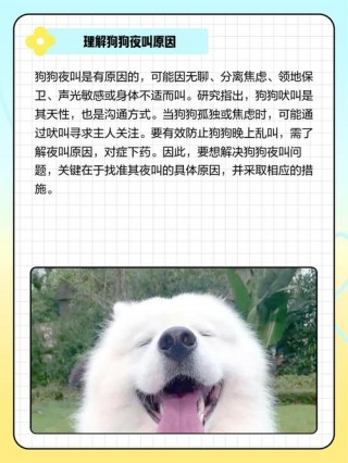 狗狗乱叫怎么训练？防止狗叫扰民比较好方法（最新）