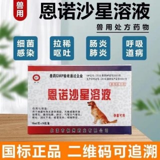 狗狗得了急性肠胃炎怎么办，（狗狗得急性肠胃炎自己会好吗）