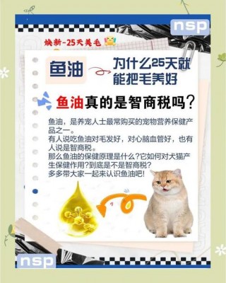 鱼肝油狗狗可以吃吗？狗可以吃鱼肝油乳吗（最新）