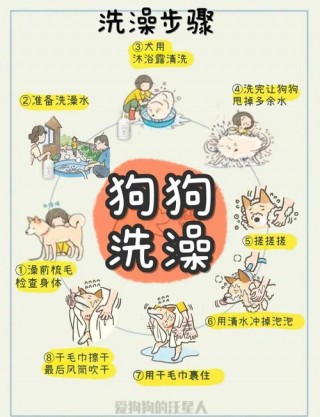 狗狗能洗冷水澡吗，（狗狗能洗冷水澡吗怎么洗）