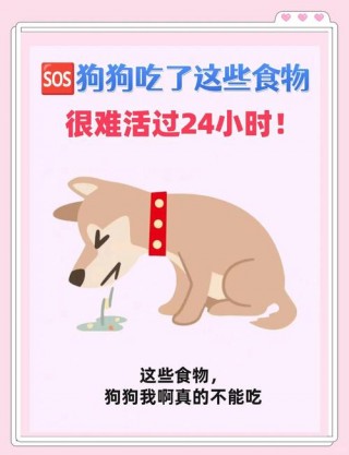 狗狗吃油腻了会怎么样？狗狗吃很油的东西会怎么样（最新）