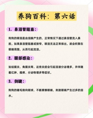 狗狗老是流泪怎么回事，（狗总流泪怎么办）