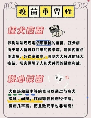 狗狗几个月打狂犬疫苗？狗狗几个月打狂犬疫苗比较好（最新）