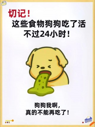 狗狗不能吃的东西，狗狗不能吃的东西清单图片？