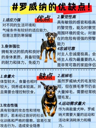 怎么在狗狗面前树立威信，（怎样在狗狗面前树立威信）