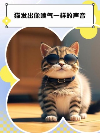 猫咪鼻子发出喷气声？猫咪鼻子发出喷气声是生气嘛（最新）