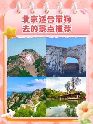 全国可以带狗狗的景点，（可以带狗的景区有哪些）