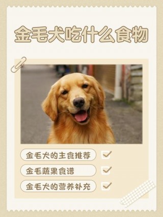 狗狗可以吃羊蹄吗？狗狗吃了羊蹄会不会消化?（最新）