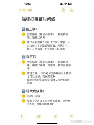 猫咪什么时候打针，（猫咪什么时候打针最合适）