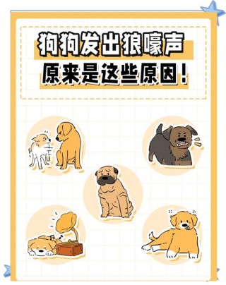 狗狗狼嚎是什么意思？狗狗狼嚎是怎么回事（最新）