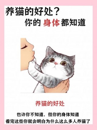 猫咪可以带出去溜吗？猫能不能带出门溜（最新）