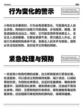 狗狗吃撑了症状，（狗狗吃撑了有什么危害）