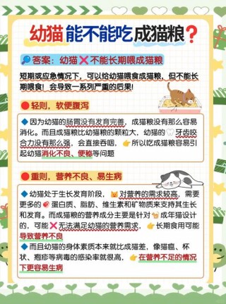 幼猫吃成猫猫粮？幼猫吃成猫猫粮会拉稀吗（最新）