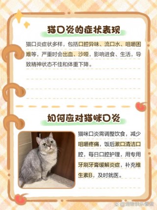 猫咪睡觉吧唧嘴，猫咪睡觉时吧唧嘴？