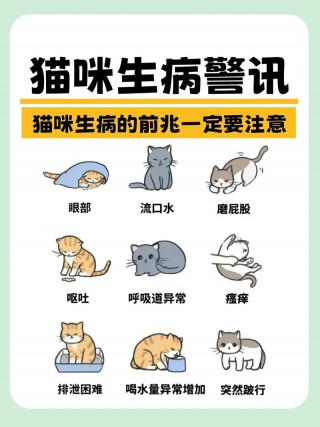 猫咪不舒服的表现，猫咪不舒服是什么样子？