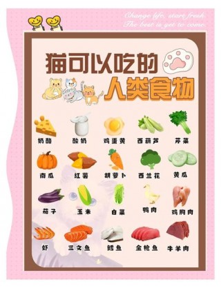 20天猫咪可以吃什么，20多天小猫可以吃什么？