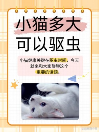 猫咪多大做驱虫？猫咪多大做驱虫合适（最新）
